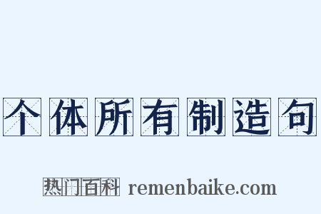个体所有制造句是什么意思的图片